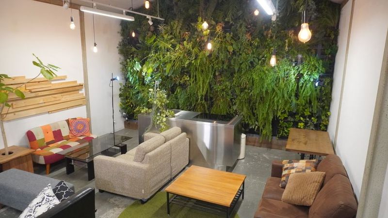 緑のオアシス 北堀江 レンタルスペース OHANA LABO - OHANA LABO