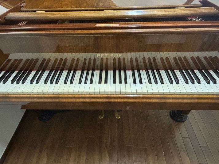 【西国分寺】希少ピアノ〈PETROF〉グランドピアノ貸し出し - アリスティアピアノ教室