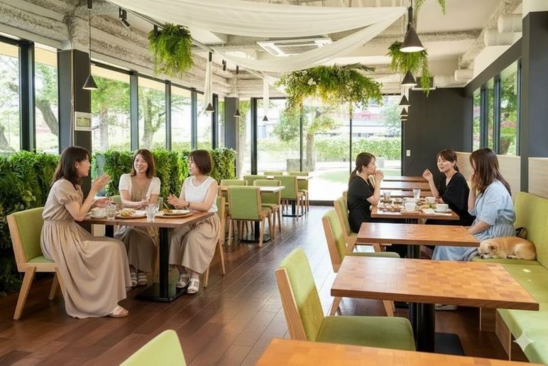 Relax CAFE 恵比寿南一丁目｜イベント・撮影利用📸 - Relax CAFE 恵比寿南一丁目