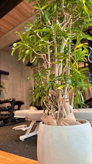 お尻専用マシン設備、更衣室完備、洗練されたレンタルジム - sugata personal gym