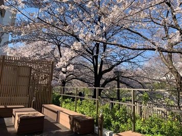 リバーサイド　中目黒 Riverside Nakameguro ~リバーサイド中目黒~の室内の写真