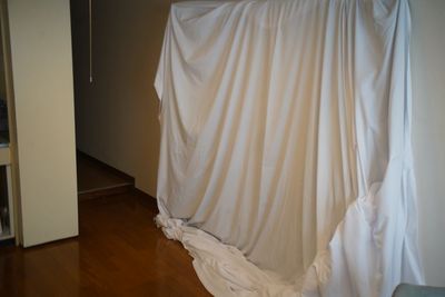 水着やコスプレ撮影はこちらの白幕で行っています。裏に暗幕もあります。 - サンシャイン通り近く個室スペース サンシャイン通りジョナサン近くの個室スペースの設備の写真