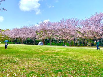 代々木公園徒歩7分🌸お花見の後は暖かいお部屋でお楽しみください♬ - レンタルスペース渋谷AGURAハンズ前 特別なパーティーに✨レンタルスペース渋谷AGURAハンズ前のその他の写真