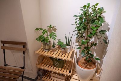 植物 - ワオン・スタジオ 初台 Cスタジオ（シンプル3帖）の室内の写真